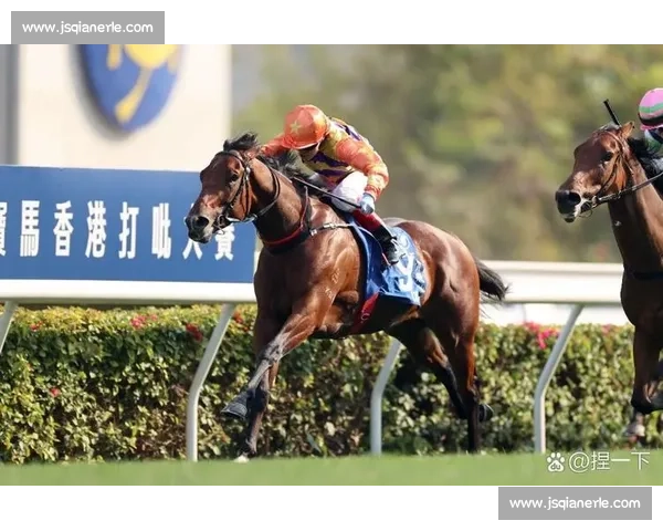 香港赛马会 202526 赛季开锣 4.3 万观众共赴马坛盛事